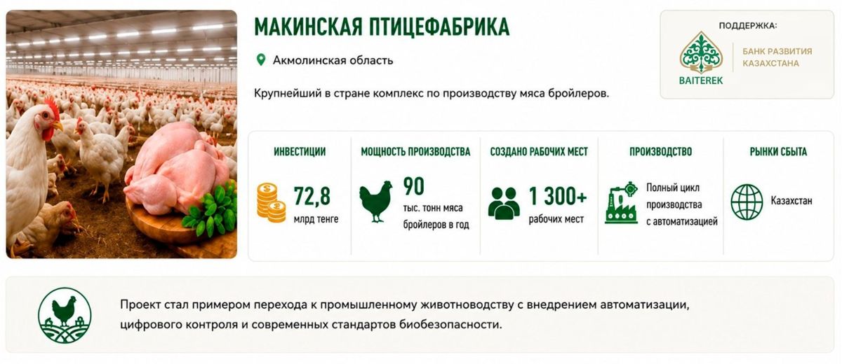 Производство бройлеров