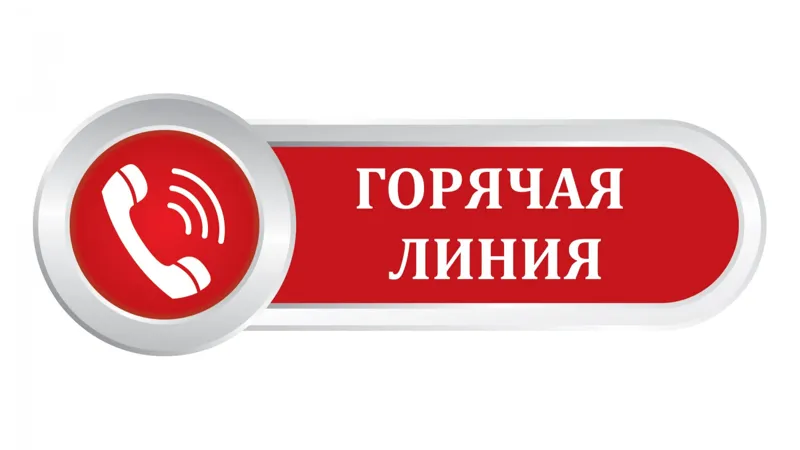 горячая линия