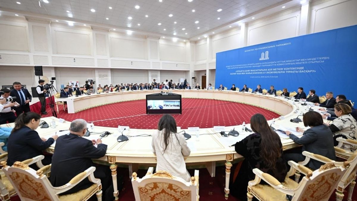 Заседание парламентской комиссии 