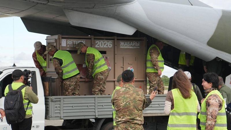 Новая партия лошадей Пржевальского прибыла в Казахстан