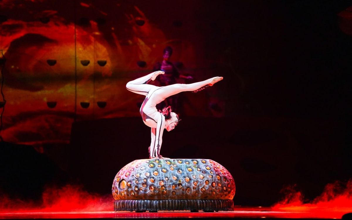 Шоу OVO от Cirque du Soleil 