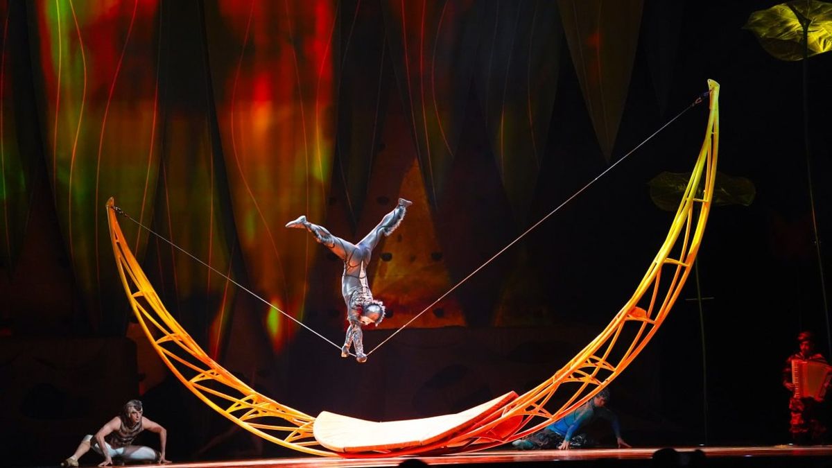 Шоу OVO от Cirque du Soleil 