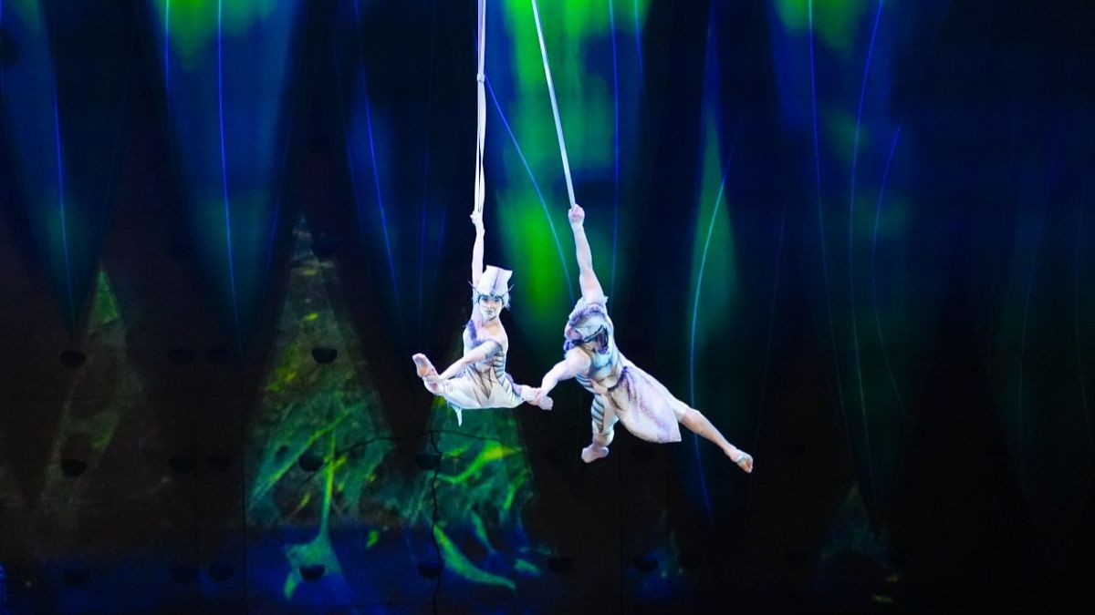 Шоу OVO от Cirque du Soleil 
