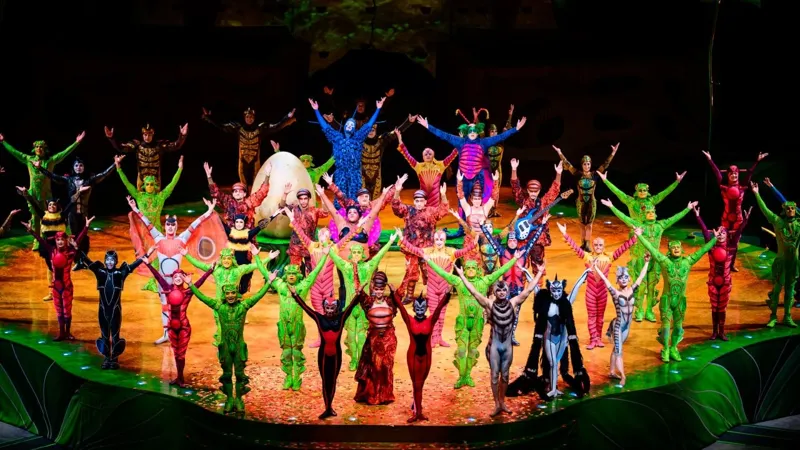 Шоу OVO от Cirque du Soleil 