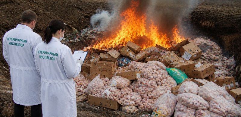 Курица, утка и корма пошли в топку: в Казахстане сожгли 113 тонн продукции из Китая