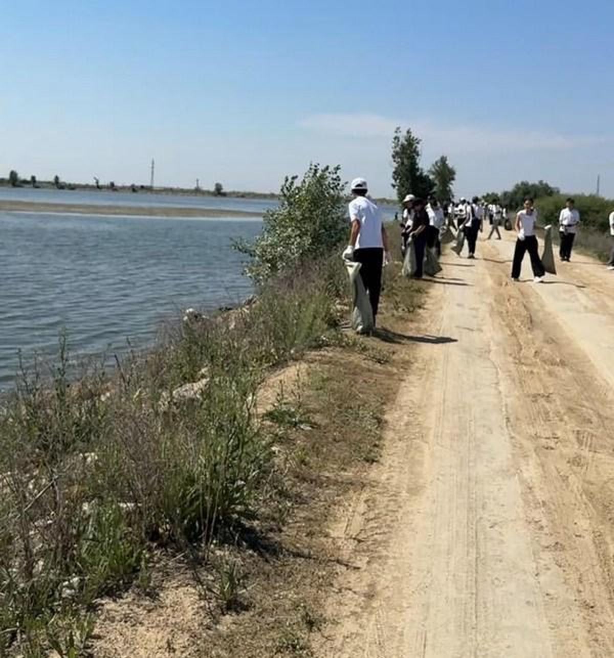 Участники экологической акции очищают берег водохранилища в Сарани.