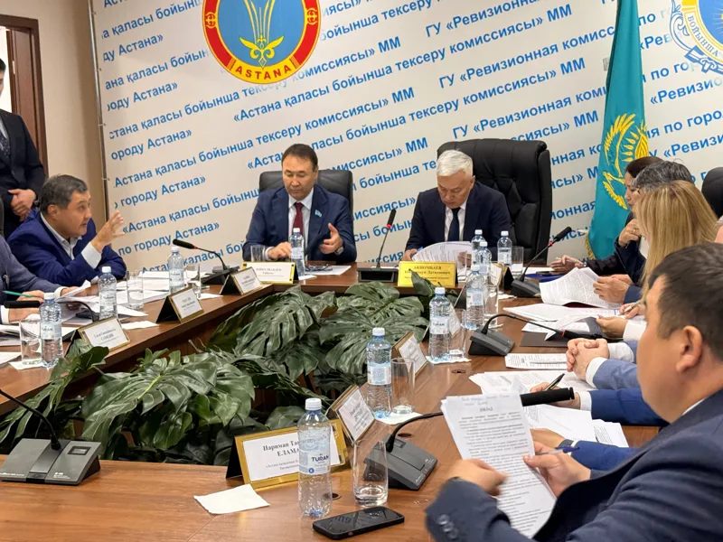 Заседание ревизионной комисии Астаны
