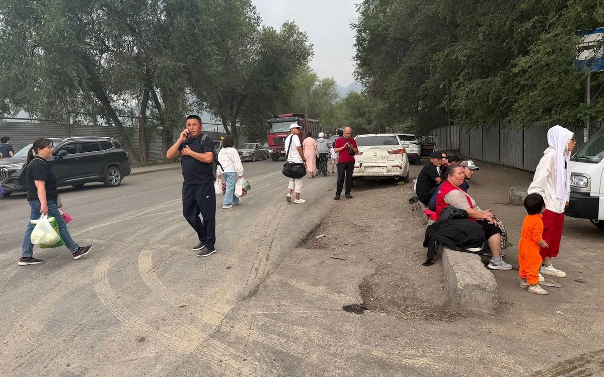 Сель в Наурызбайском районе