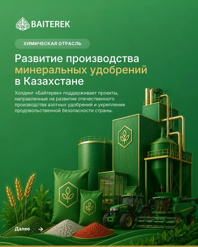 Поддержка НИХ "Байтерек"