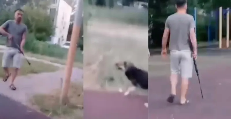 Кадры с видео Instagram-аккаунта @dobroe_serdce_uralsk_