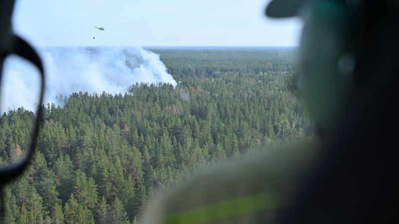 Пожар в "Семей орманы": что известно к этому часу