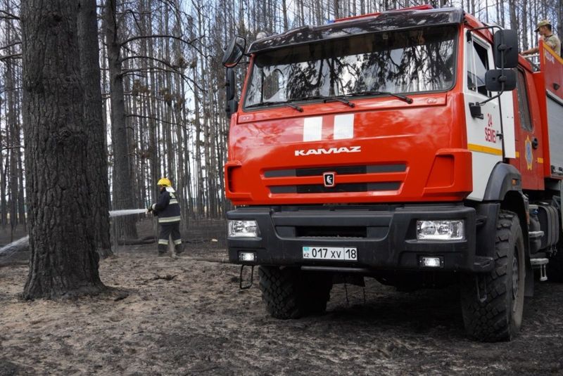 Пожар в "Семей орманы": удалось остановить распространение огня и защитить населённые пункты