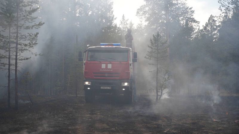 В "Семей орманы" вспыхнули ещё два лесных пожара после грозы