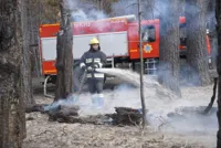 После грозы в "Ертіс орманы" вспыхнули девять лесных пожаров