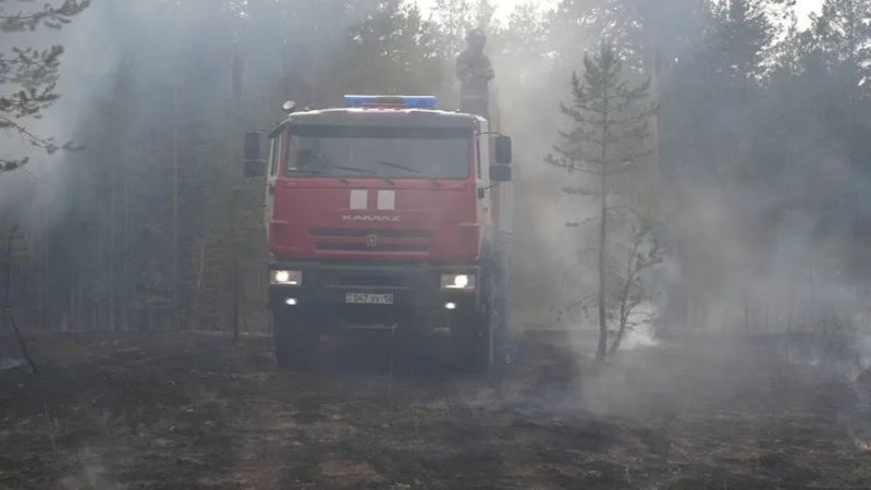 19 лесных пожаров ликвидированы за сутки на территориях госфонда