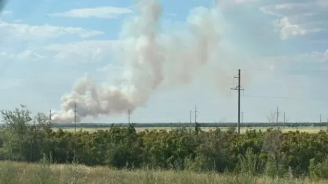 Лесной пожар в ЗКО