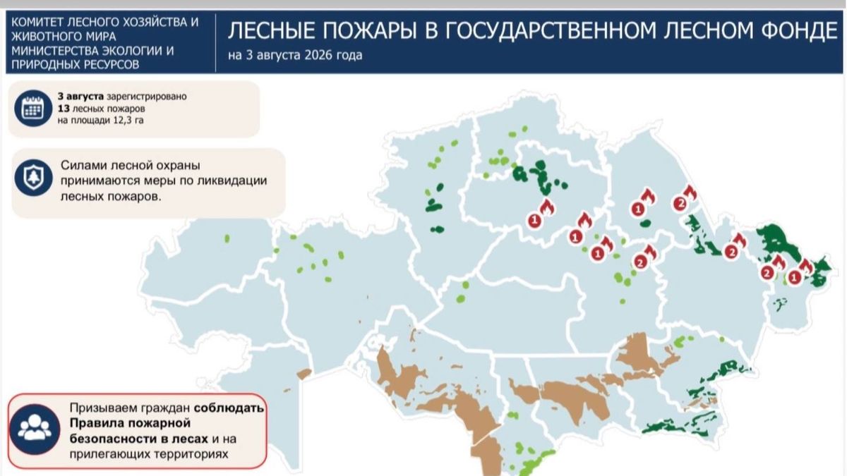 лесные пожары