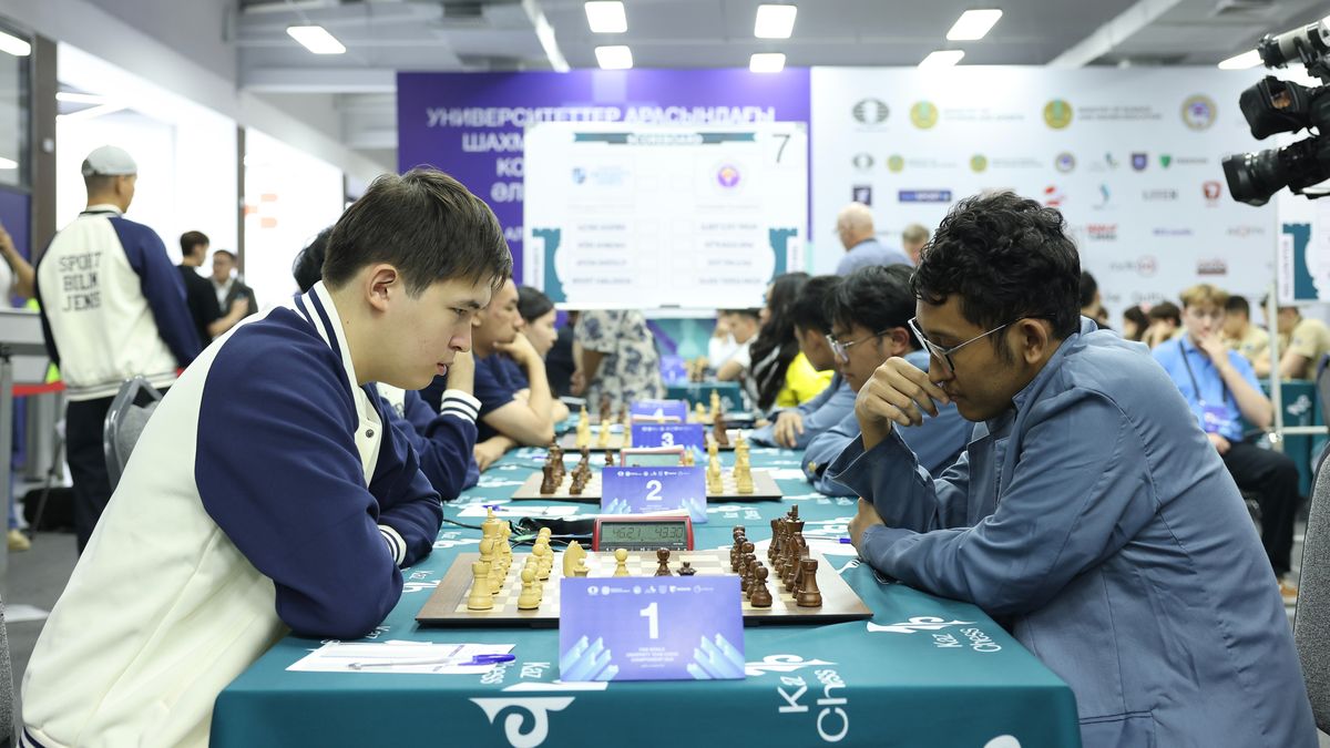 Игра в шахматы Международная шахматная федерация (FIDE)