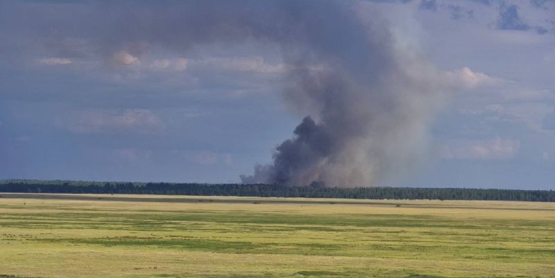 В "Ертіс орманы" загорелся сосновый бор