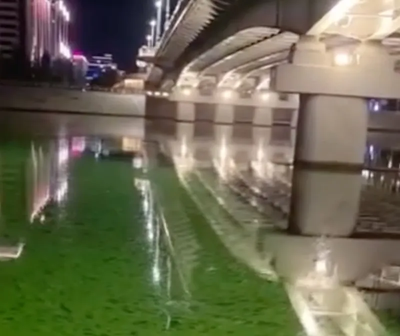 Вода в реке Астаны "зацвела"