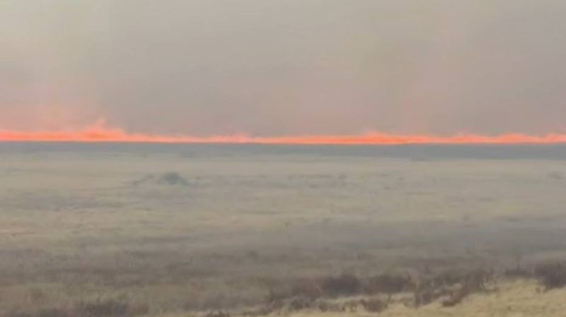 Крупный природный пожар продолжают тушить в Карагандинской области