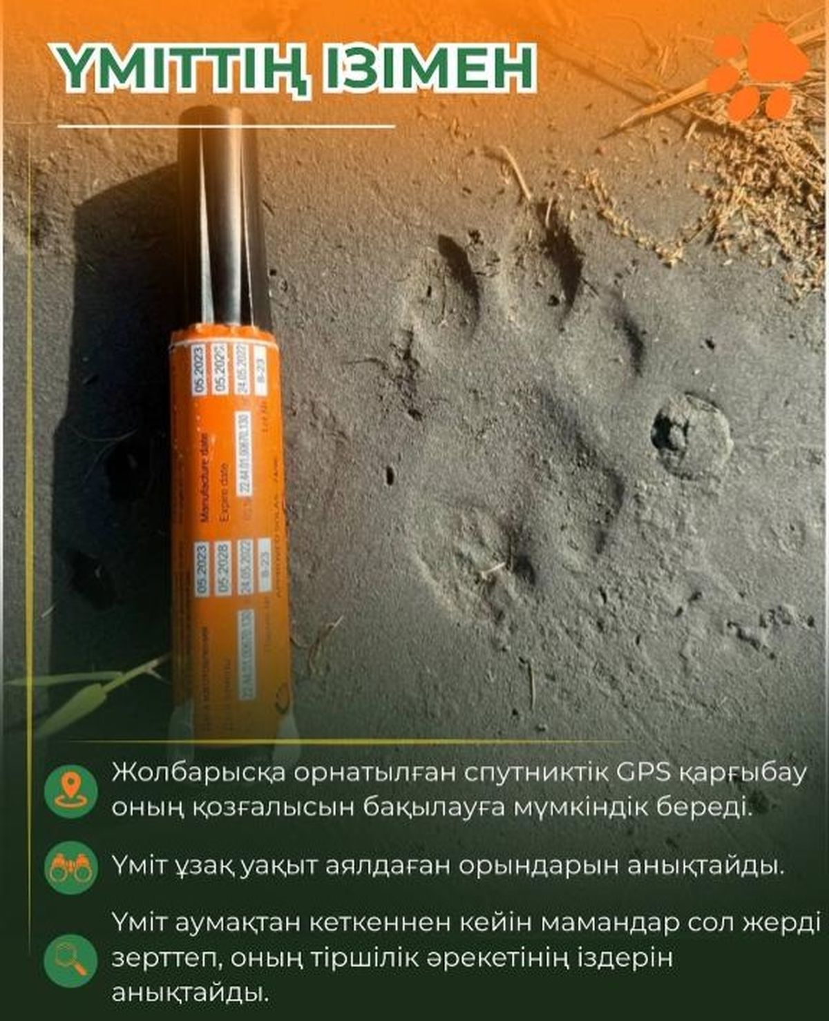 Следы тигрицы