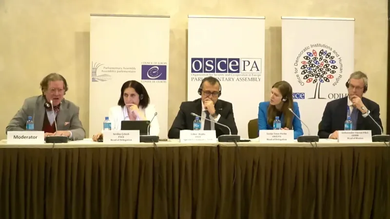 Международная миссия по наблюдению за выборами Бюро по демократическим институтам и правам человека (БДИПЧ) ОБСЕ