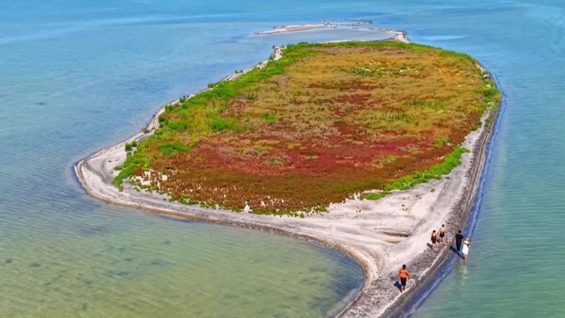 Остров появился в Каспийском море из-за снижения уровня воды