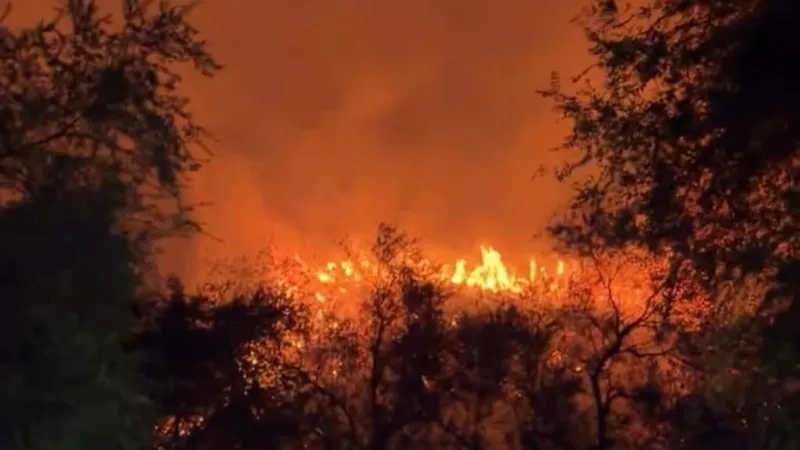 Пожар возле проспекта Аль-Фараби в Алматы