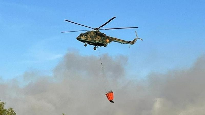 Лесной пожар в Илийском лесничестве полностью ликвидировали