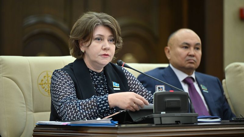 "Каждый проект будем смотреть с лупой": в курултае оценили планы по изъятиям из Нацфонда