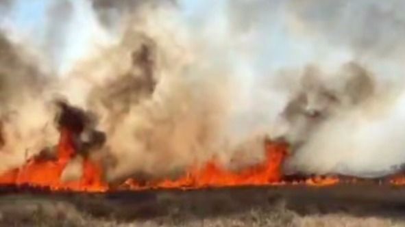 В Карагандинской области локализовали два крупных степных пожара 