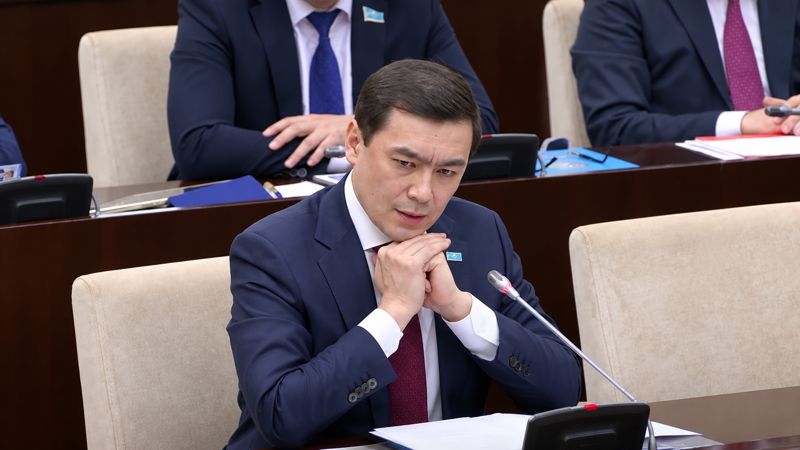 Вице-министр национальной экономики Арман Касенов на заседании мажилиса