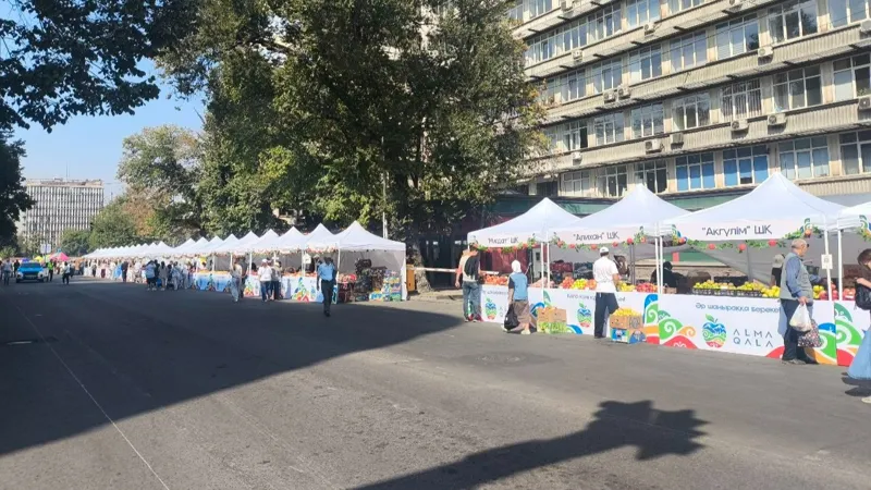 Alma Qala Fest