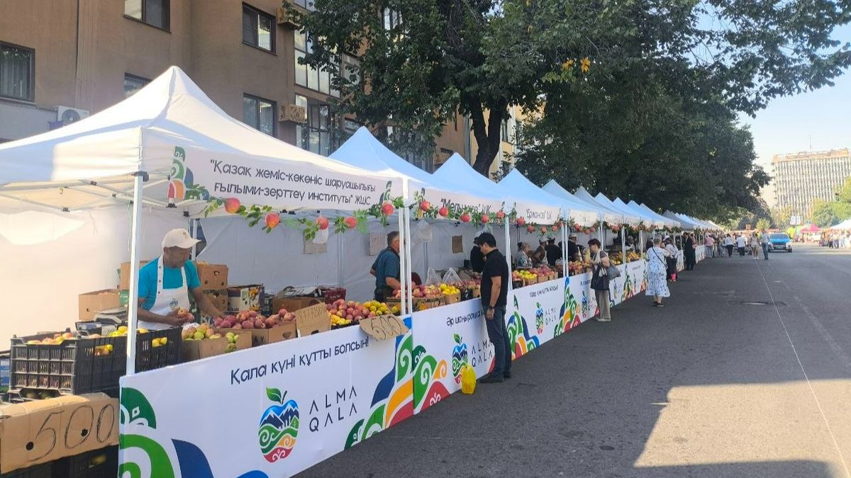 Alma Qala Fest