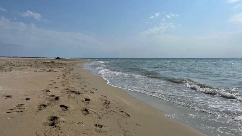 Море