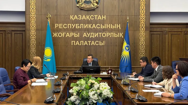Высшая аудиторская палата