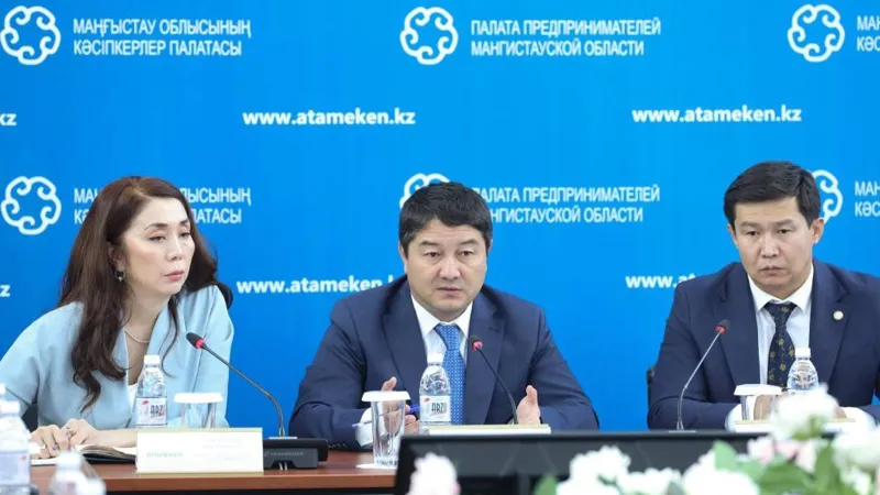 Нурдаулет Килыбай выступает на заседании совета