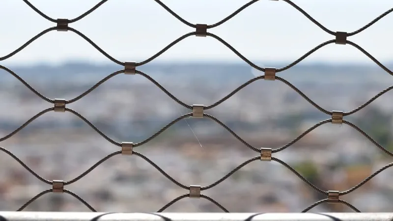 Сетка на границе на фоне города