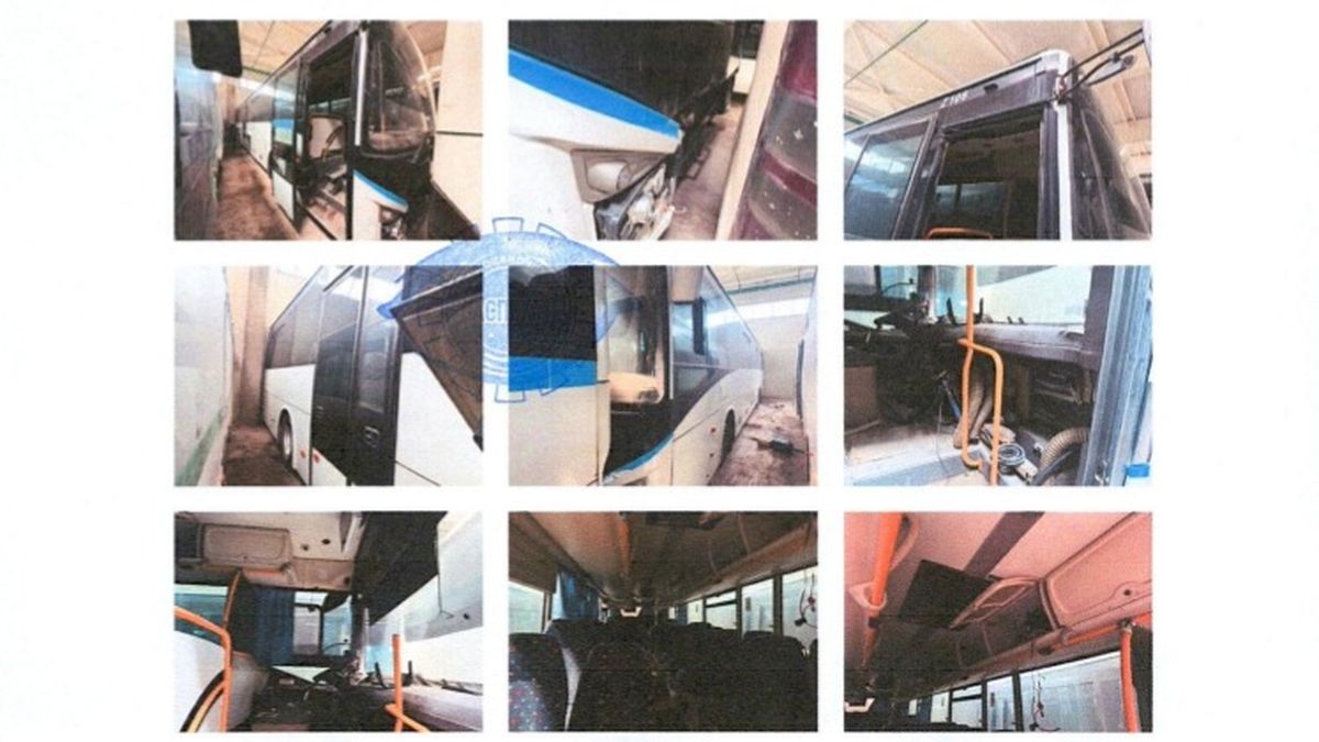 Iveco, Sauda